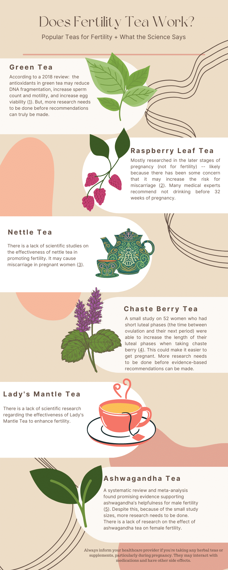 infographic on does fertility work, explaining the science for different types of tea.